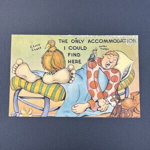 Early 1940s Man Sleeping and Animals Postcard Vintage Unused